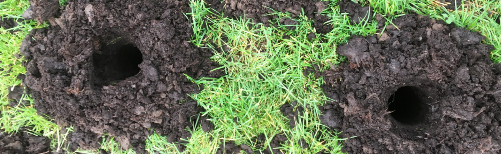 Gaten geboord in schalterveen